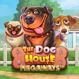 The Dog House Megaways gra w Cazeus Casino dla graczy z Polski The Dog House Megaways gra w Cazeus Casino dla graczy z Polski