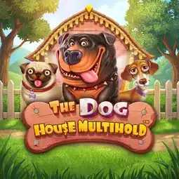 The Dog House Multihold gra w Cazeus Casino dla graczy z Polski The Dog House Multihold gra w Cazeus Casino dla graczy z Polski